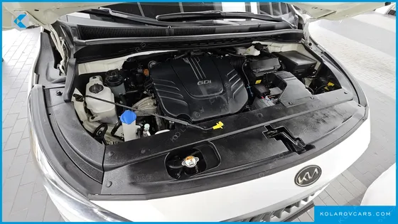 KIA CARNIVAL GASOLINE 7-SEATER LIMOUSINE