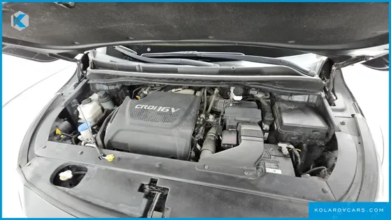 KIA CARNIVAL 9-SEATER HI-LIMOUSINE