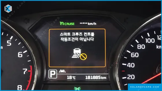 KIA CARNIVAL GASOLINE 9-SEATER LIMOUSINE(SPECIAL VEHICLE)