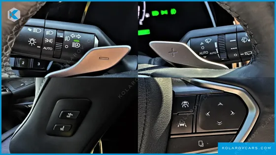 LEXUS RX LUXURY
