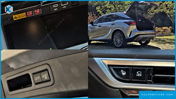 LEXUS RX LUXURY