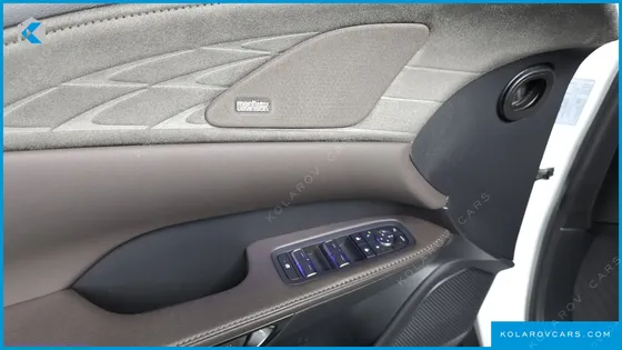LEXUS RX LUXURY