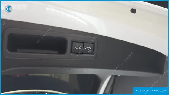 LEXUS RX LUXURY