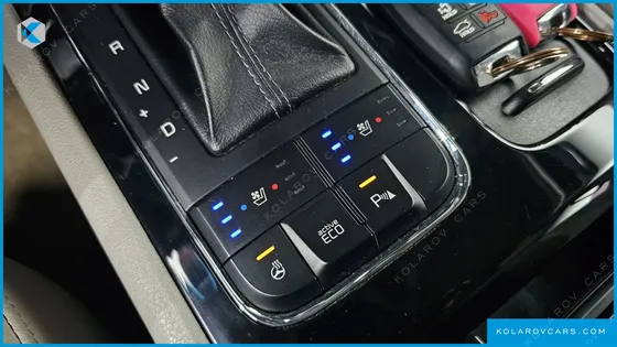 KIA CARNIVAL 9-SEATER PRESTIGE