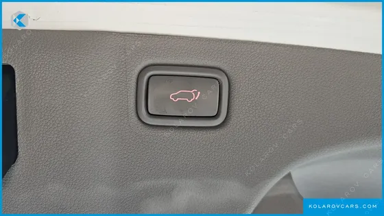 KIA CARNIVAL 9-SEATER NOBLESSE