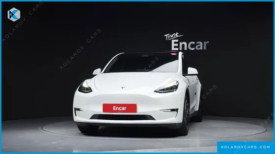 TESLA MODEL Y LONG RANGE AWD