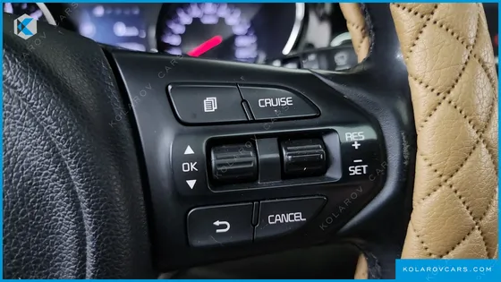 KIA CARNIVAL 9-SEATER NOBLESSE