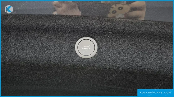 TESLA MODEL Y PREMIUM RWD