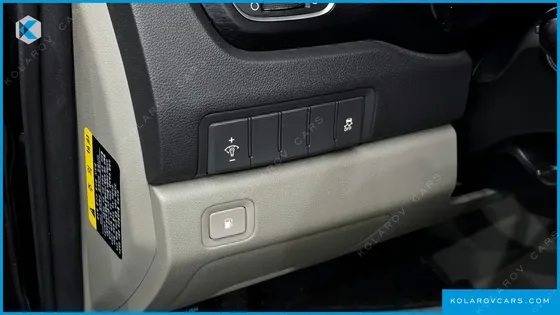 KIA CARNIVAL 9-SEATER LUXURY