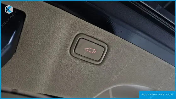 KIA CARNIVAL 9-SEATER HI-LIMOUSINE