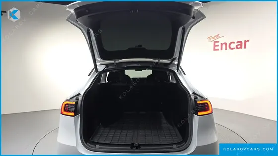 TESLA MODEL Y LONG RANGE AWD