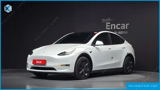 TESLA MODEL Y LONG RANGE AWD