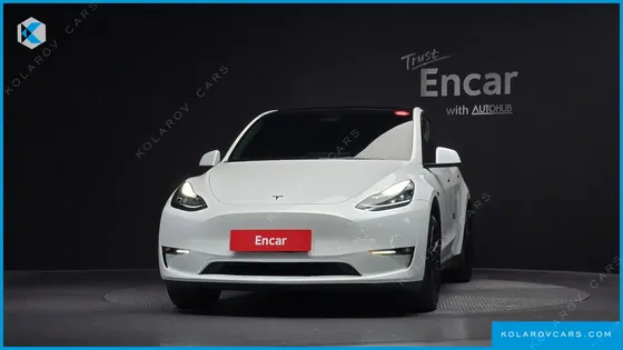 TESLA MODEL Y LONG RANGE AWD