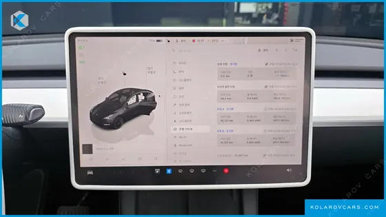 TESLA MODEL Y LONG RANGE AWD