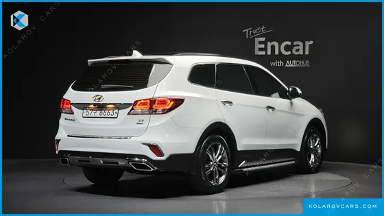 HYUNDAI MAXCRUISE GAS 3.3 4WD