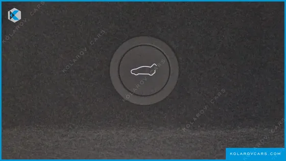 TESLA MODEL Y L LONG RANGE AWD