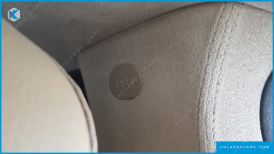 KIA CARNIVAL 9-SEATER HI-LIMOUSINE