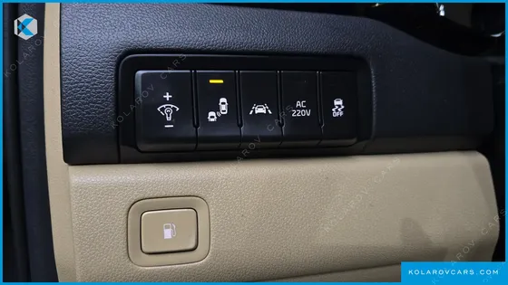 KIA CARNIVAL 9-SEATER NOBLESSE SPECIAL