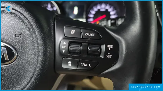 KIA CARNIVAL 9-SEATER NOBLESSE SPECIAL