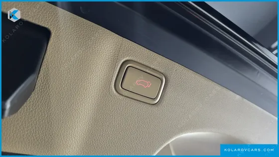 KIA CARNIVAL 9-SEATER NOBLESSE SPECIAL