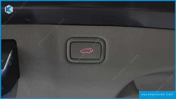 KIA CARNIVAL 9-SEATER NOBLESSE