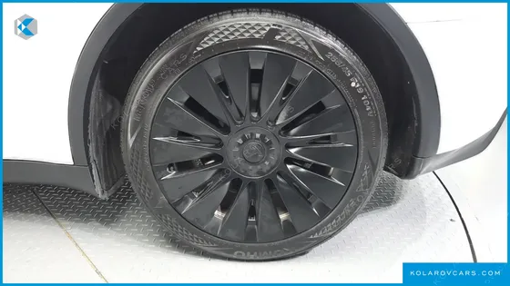 TESLA MODEL Y RWD