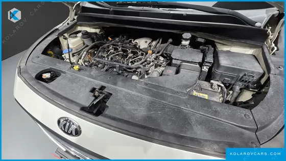 KIA CARNIVAL 9-SEATER NOBLESSE