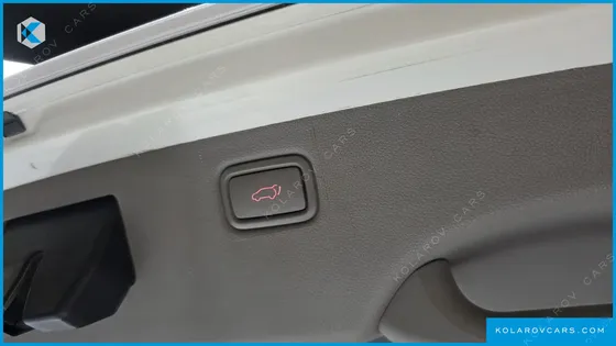 KIA CARNIVAL 9-SEATER NOBLESSE
