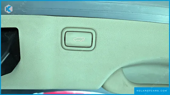 KIA CARNIVAL 9-SEATER NOBLESSE