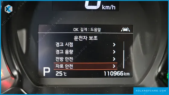 KIA RAY SIGNATURE
