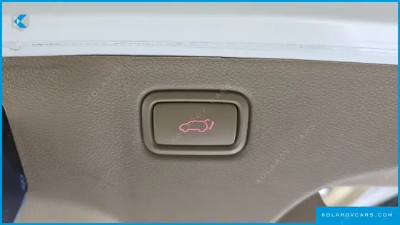 KIA CARNIVAL 9-SEATER NOBLESSE