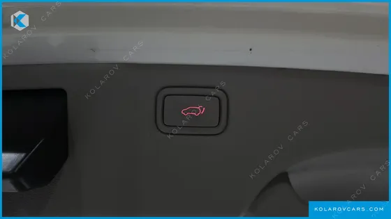 KIA CARNIVAL 9-SEATER NOBLESSE SPECIAL