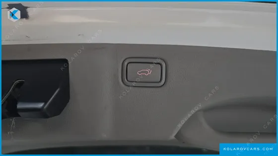 KIA CARNIVAL 9-SEATER NOBLESSE