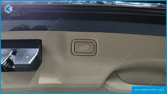 KIA CARNIVAL 9-SEATER HI-LIMOUSINE