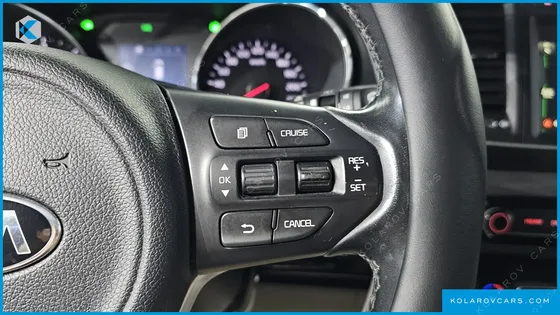 KIA CARNIVAL 9-SEATER LUXURY