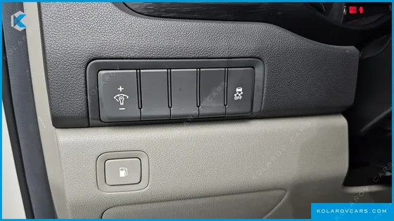 KIA CARNIVAL 9-SEATER LUXURY