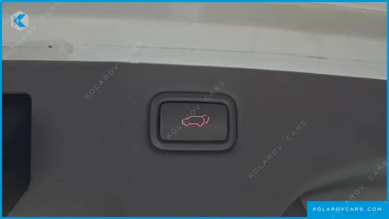 KIA CARNIVAL 9-SEATER NOBLESSE
