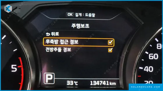 KIA CARNIVAL 9-SEATER NOBLESSE