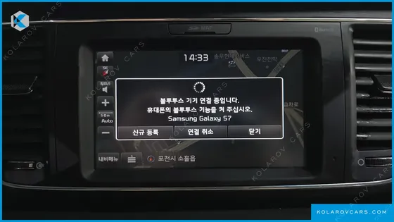 KIA CARNIVAL 9-SEATER LUXURY