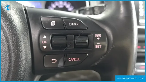 KIA CARNIVAL 9-SEATER LUXURY