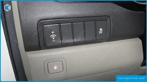 KIA CARNIVAL 9-SEATER LUXURY