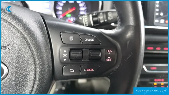 KIA CARNIVAL 9-SEATER LUXURY