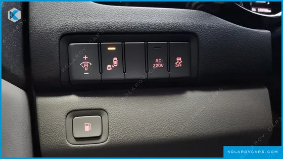 KIA CARNIVAL 9-SEATER NOBLESSE SPECIAL
