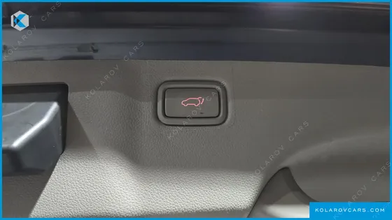 KIA CARNIVAL 9-SEATER PRESTIGE