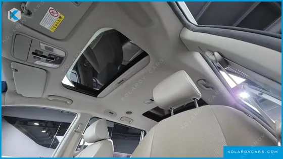 KIA CARNIVAL 9-SEATER LUXURY
