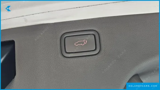 KIA CARNIVAL 9-SEATER NOBLESSE