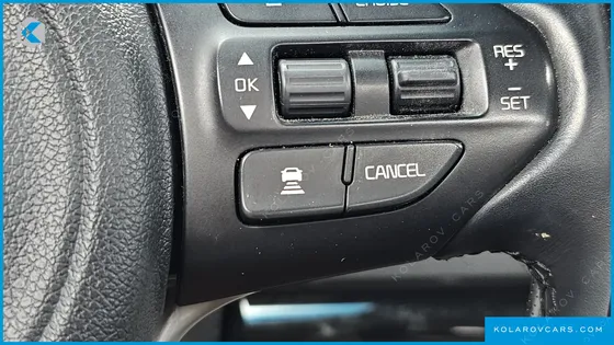 KIA CARNIVAL 9-SEATER NOBLESSE