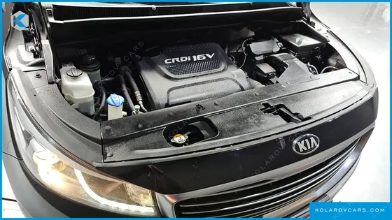 KIA CARNIVAL 9-SEATER LUXURY