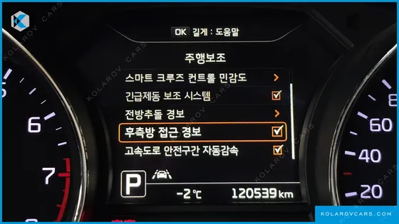 KIA CARNIVAL GASOLINE 7-SEATER LIMOUSINE