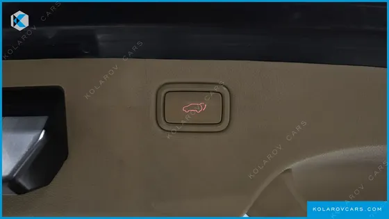 KIA CARNIVAL 9-SEATER NOBLESSE